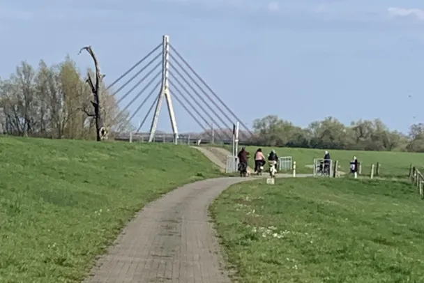 RLR Perrich Niederrheinbrücke